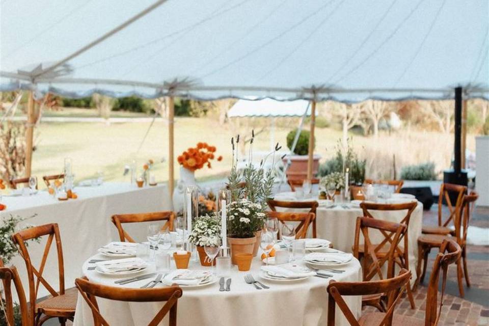 Location chaises crossback