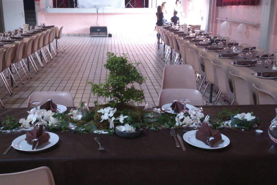 Centre de table plante