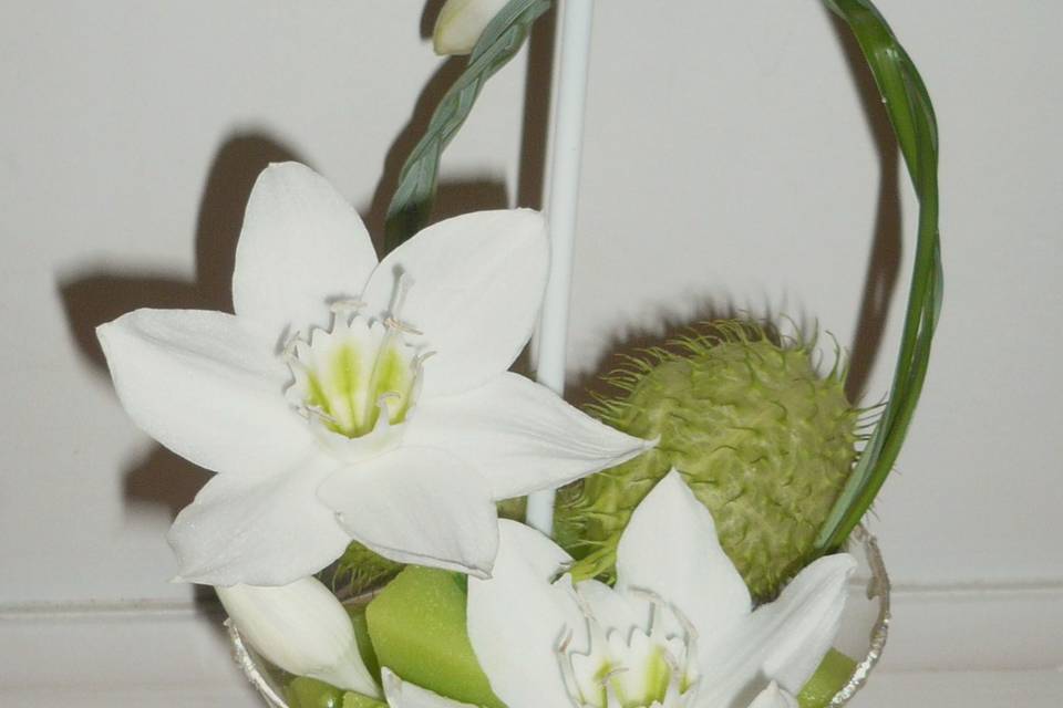 Eleboria - Créations Florales