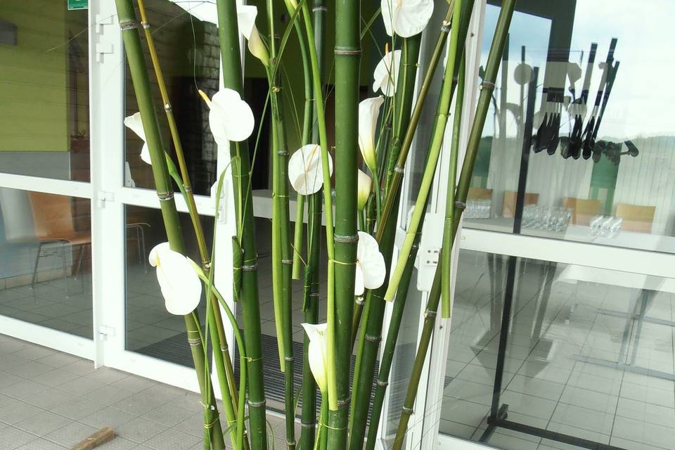 Eleboria - Créations Florales