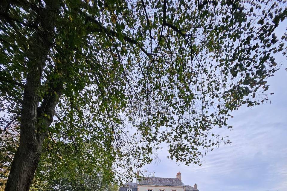 Chateau
