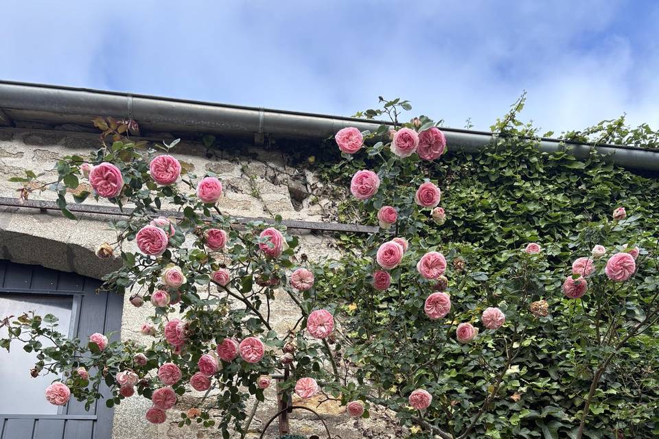 Jardin
