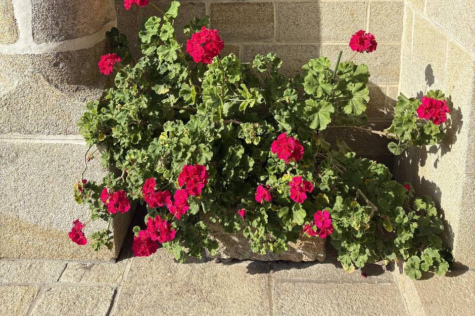 Jardin