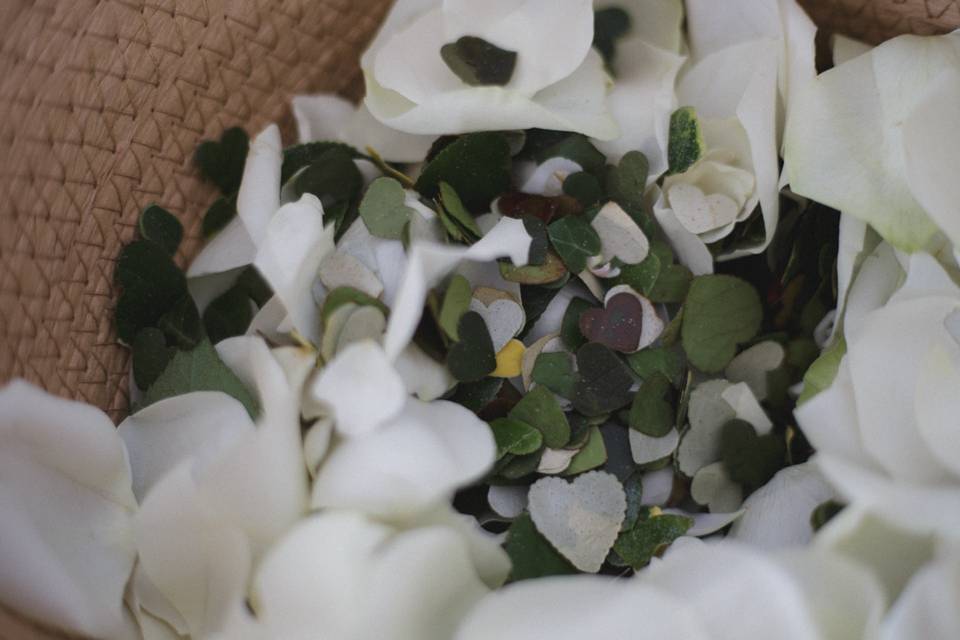 YACHOKI