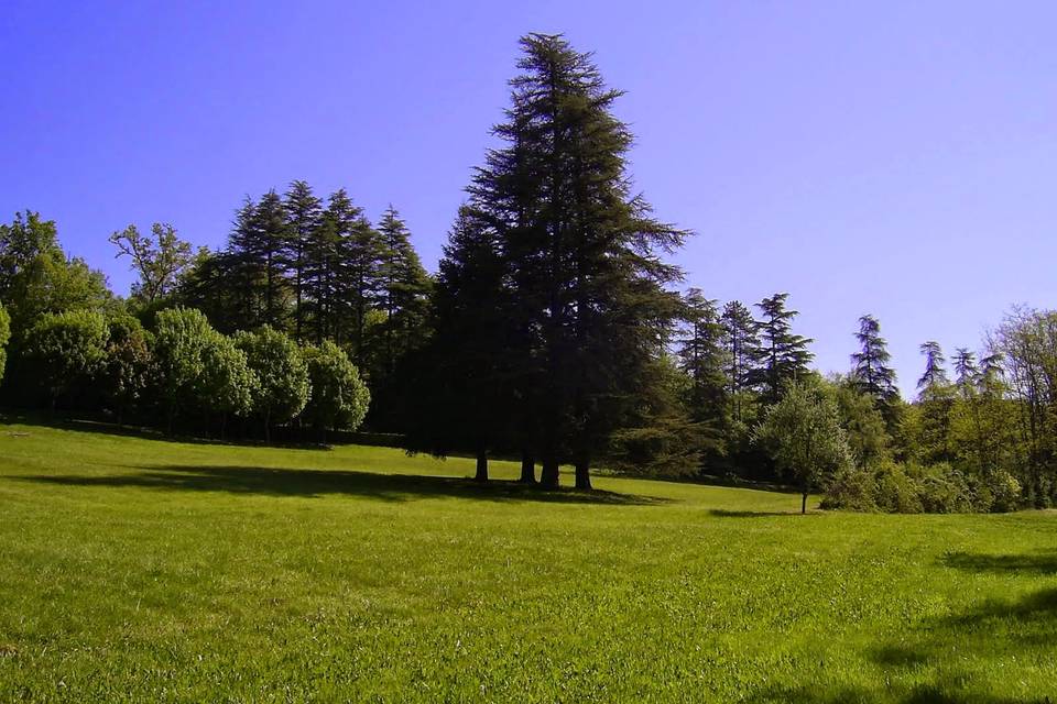 Château Puy Robert