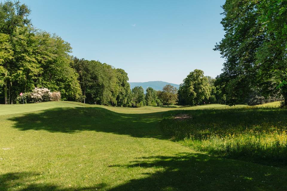 Terrain de golf