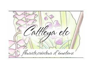 Cattleya etc