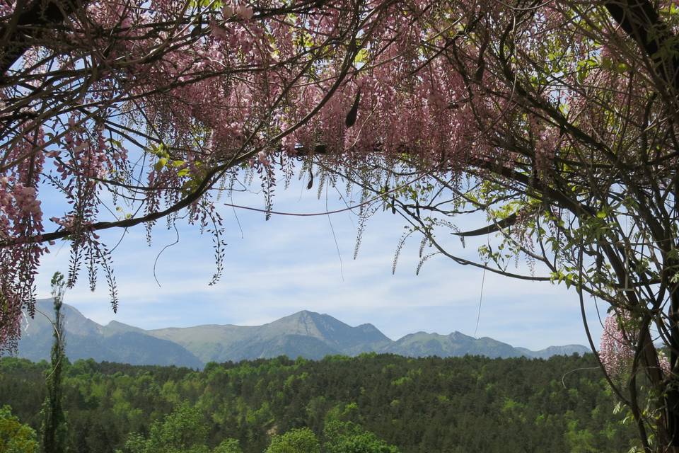 Domaine de Raud