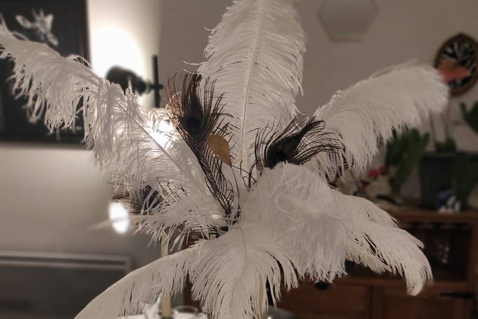 Grand choix de plumes