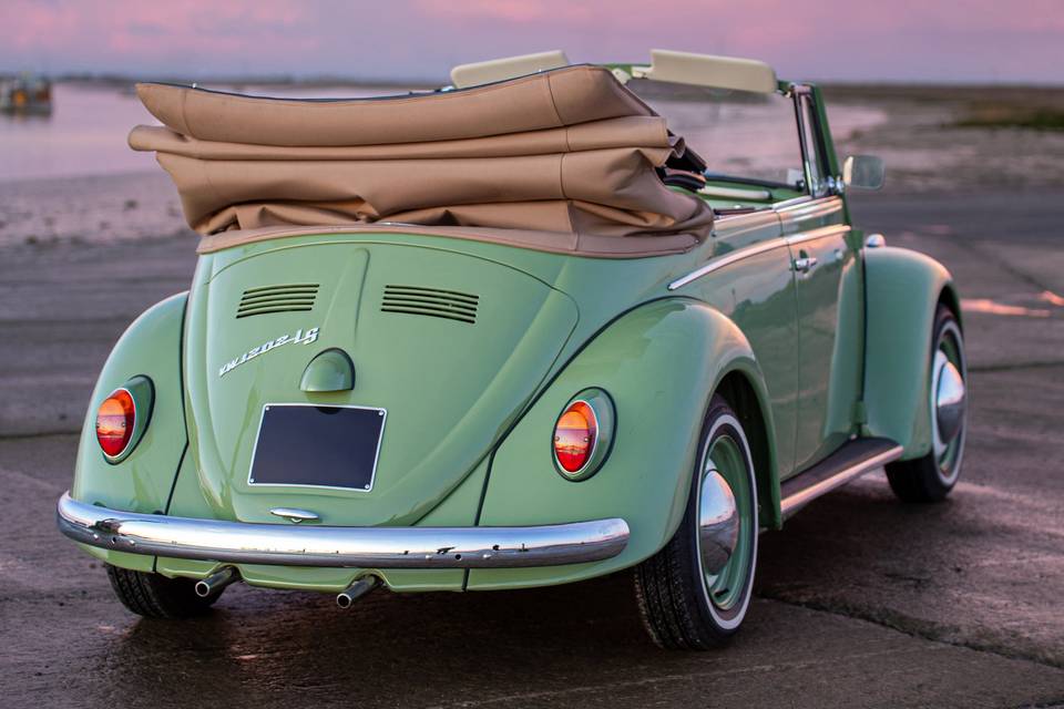 Coccinelle 1202 LS