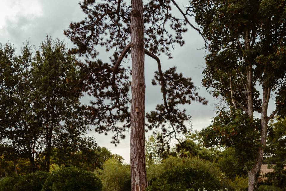 Cox Fleurie