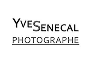 YveSenecal logo