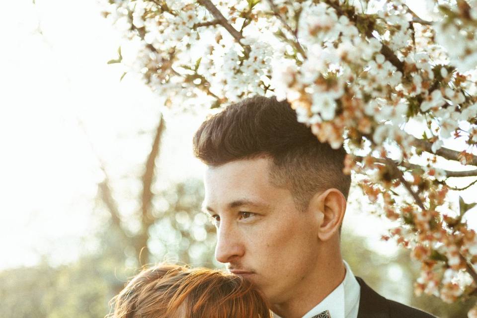 Mariage en Provence