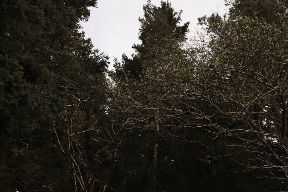 Le séance photo de couple