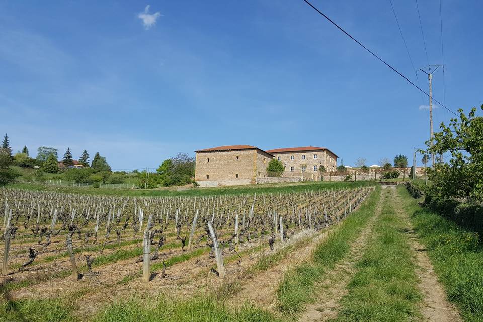 La Bastide des Hirondelles