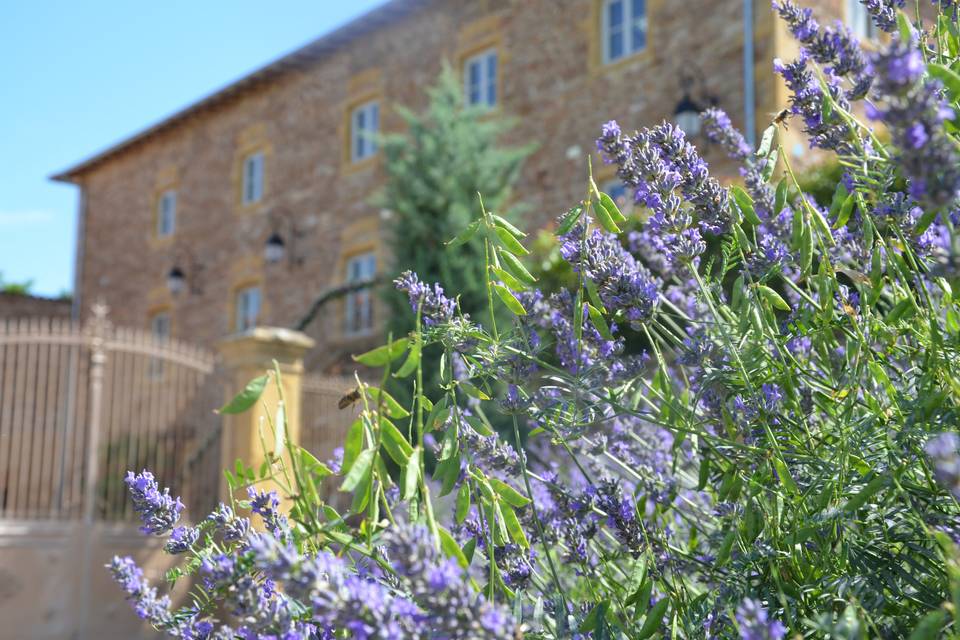 La bastide