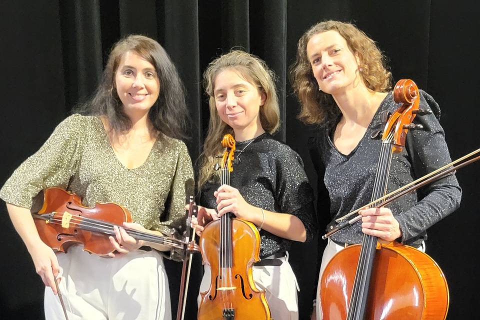 PariStringsOrchestra