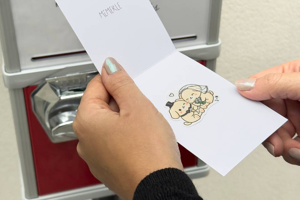 Pochette cadeau