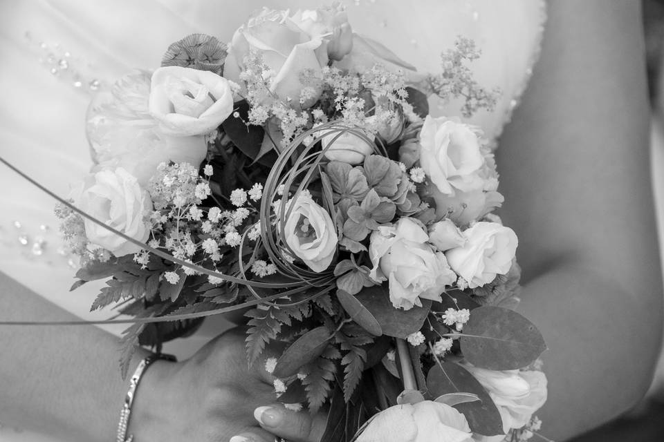 Photographe mariage Laval