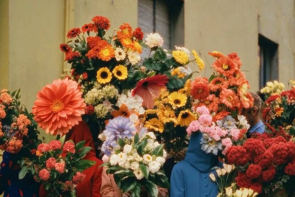 Quieres Rosas