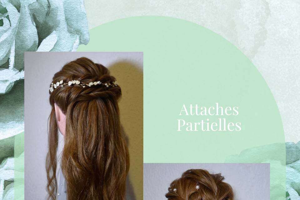 Attaches Partielles