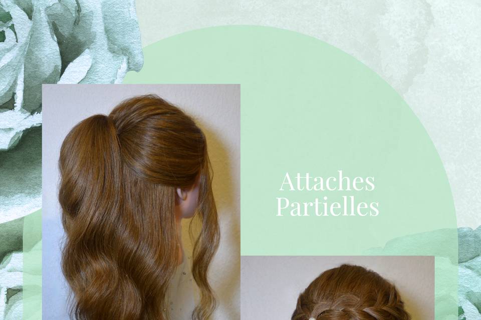 Attaches Partielles