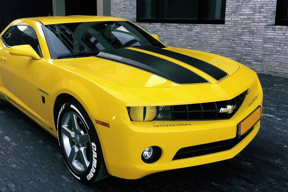 Bumblebee