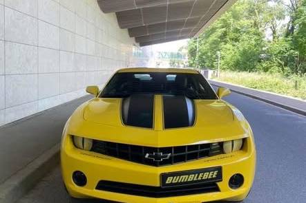 BUMBLEBEE