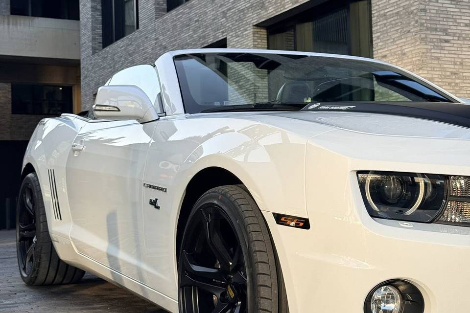 2026 JANTES ZL1 315/30/ZR20