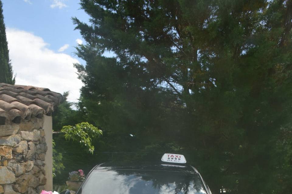 MJ Taxi