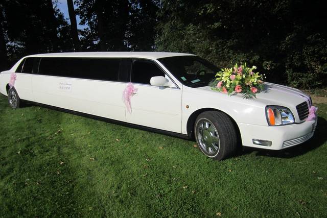 Limousine 62