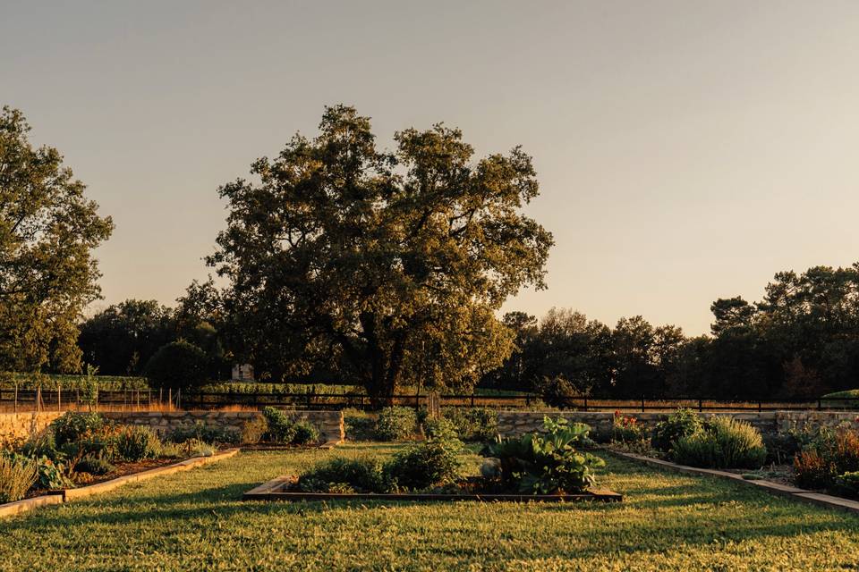 Diner dans le potager