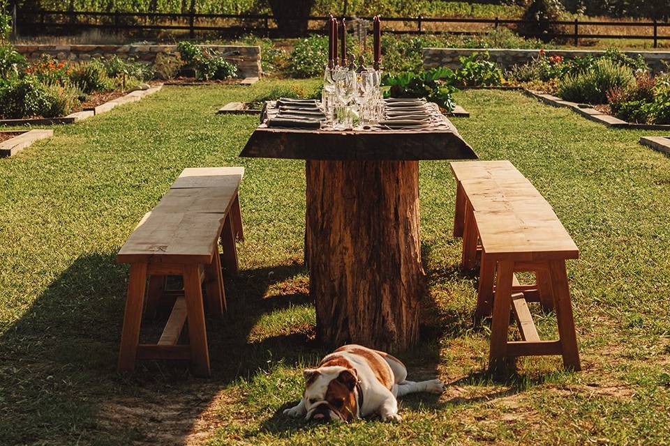 Table dans le potager