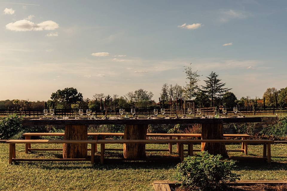 Table dans le potager