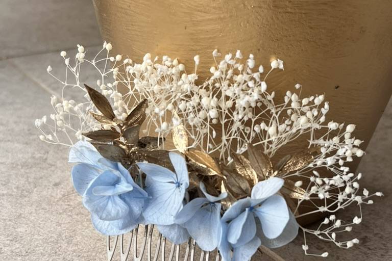 Broche cheveux