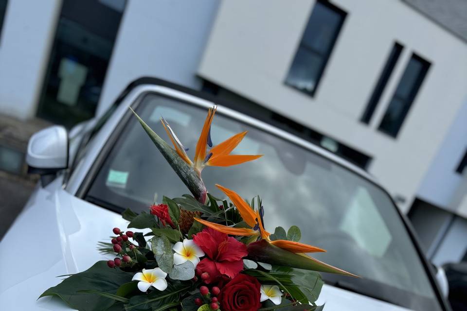 Décor voiture exotique
