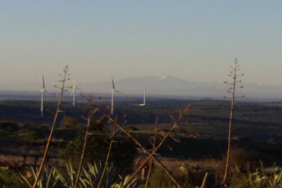 Vue panoramique Canigou