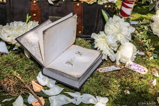 Le livre de l'amour