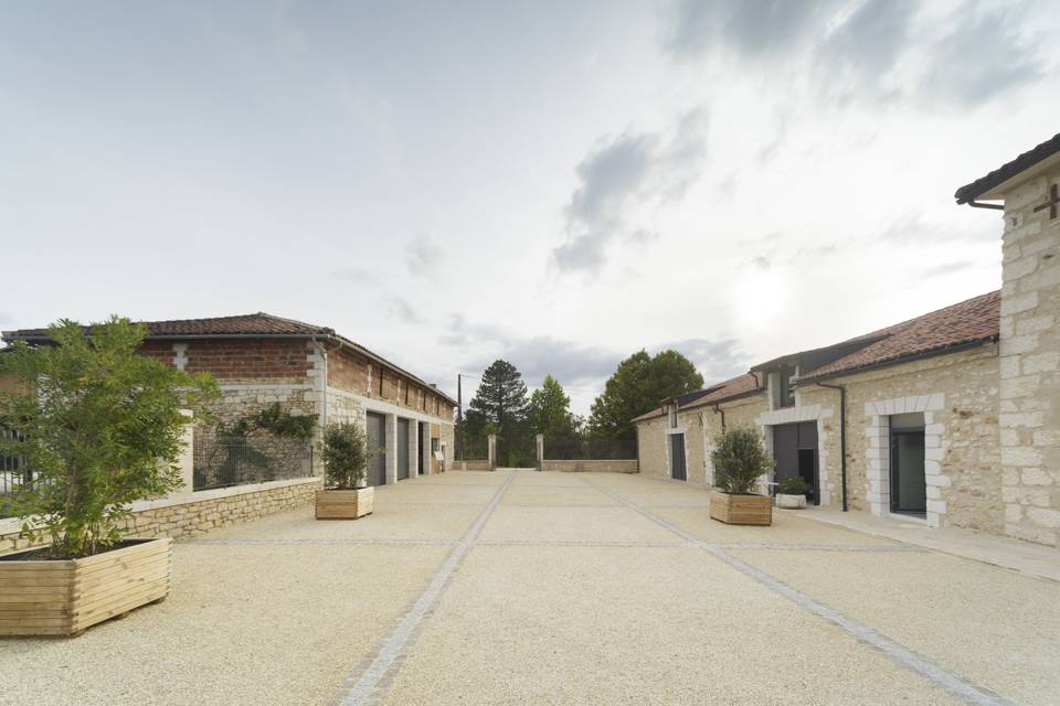 Cour
