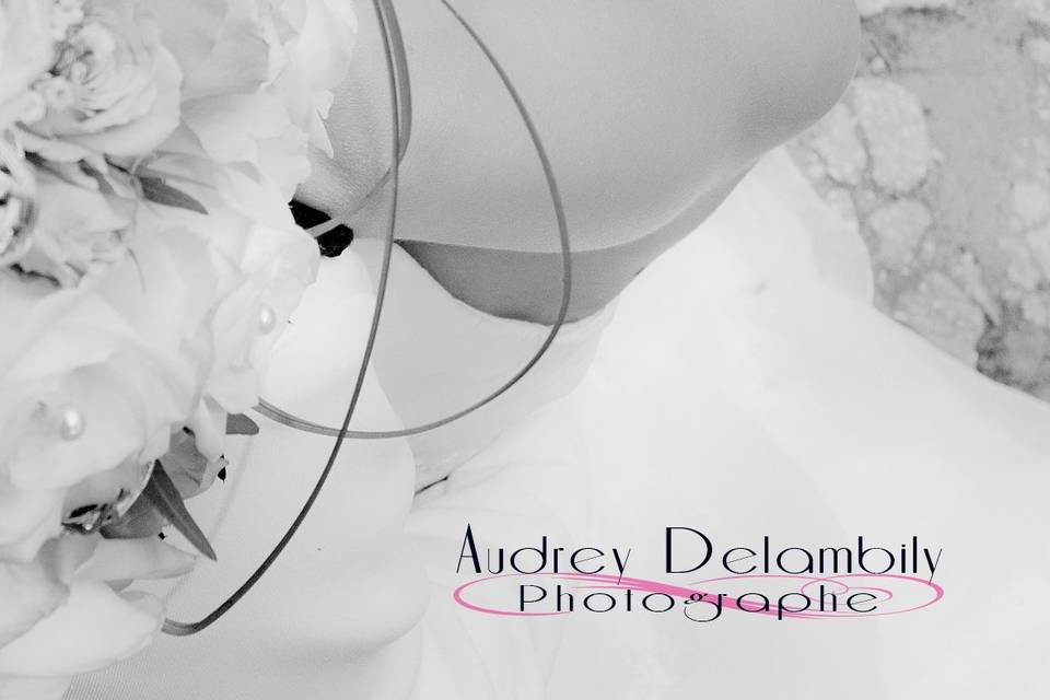 Photographe de Mariage Toulon