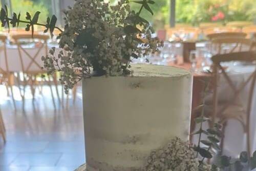 Nude Cake