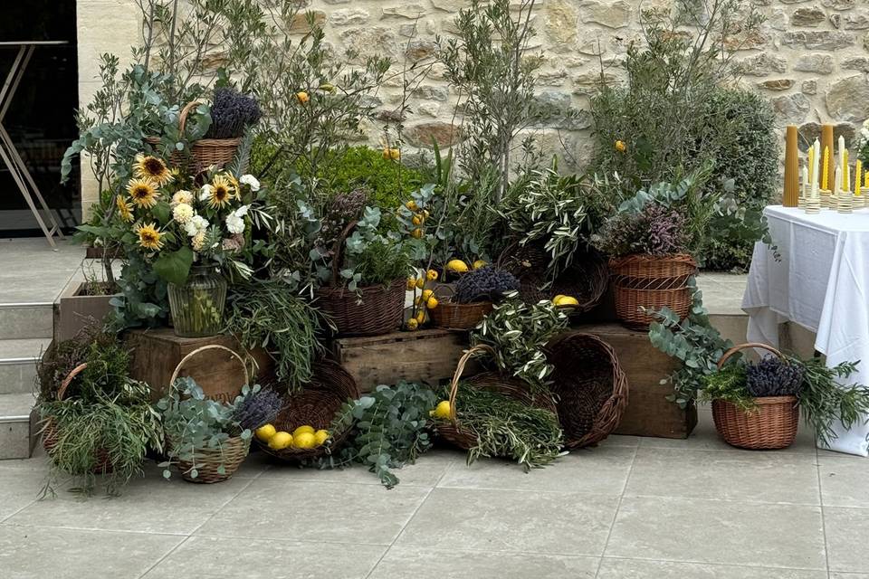Scénographies florales