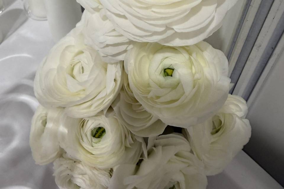 Ranunculus white