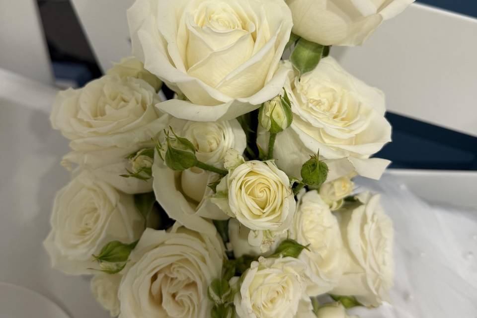 Roses white