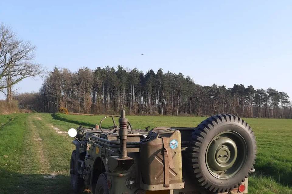 Jeep Willys face arrière