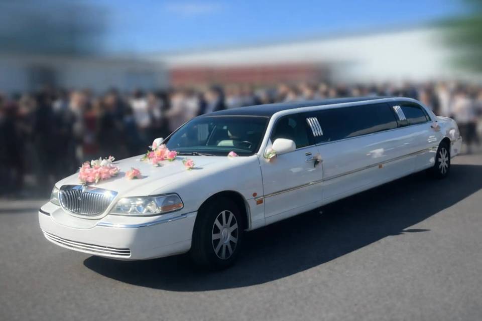 Limousine blanche décorée