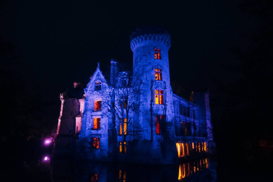 Château de la Mothe Chandeniers