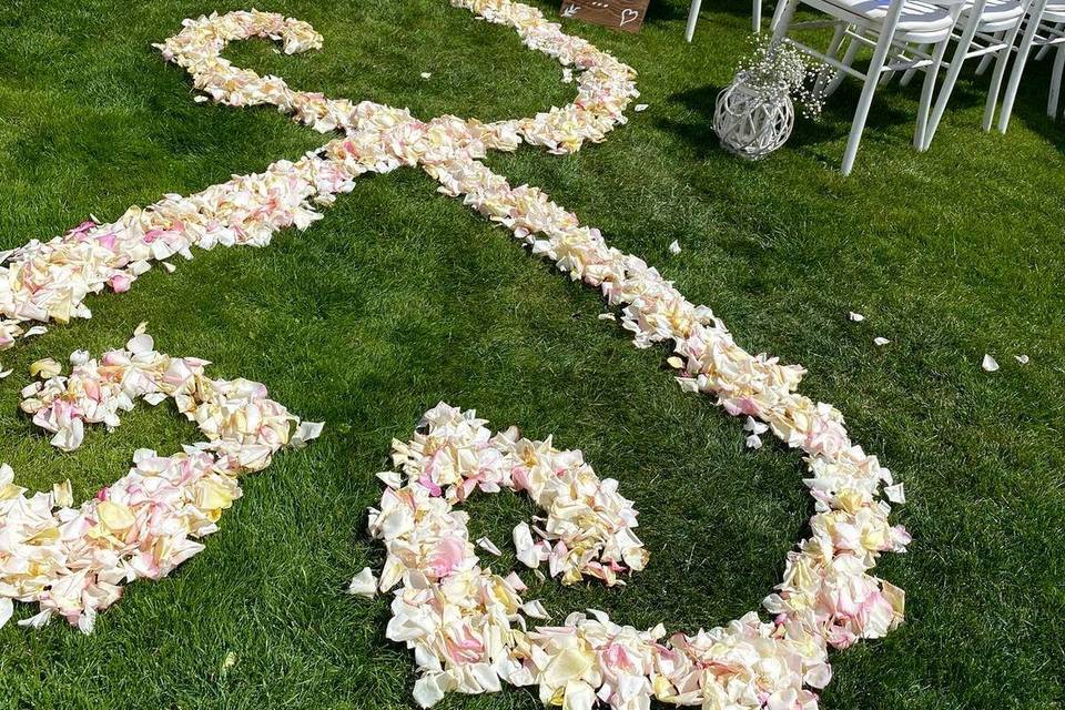 Chemin de pétales de roses