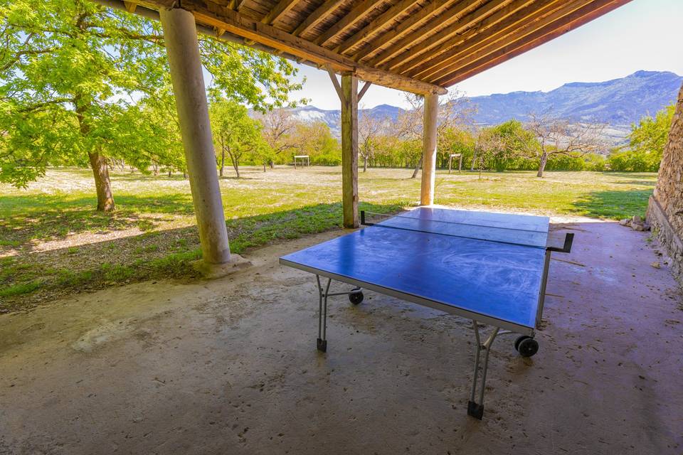 Table ping-pong