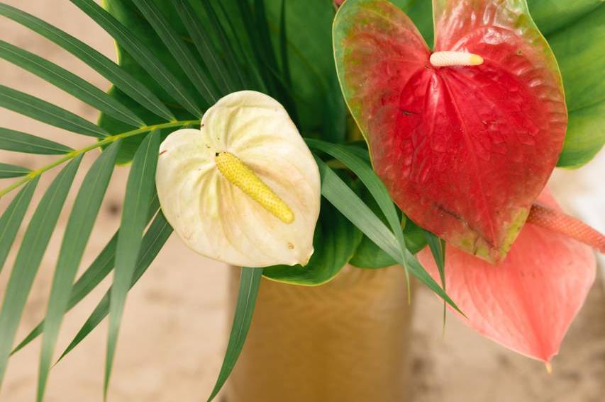 Bouquet  réalisé par MC